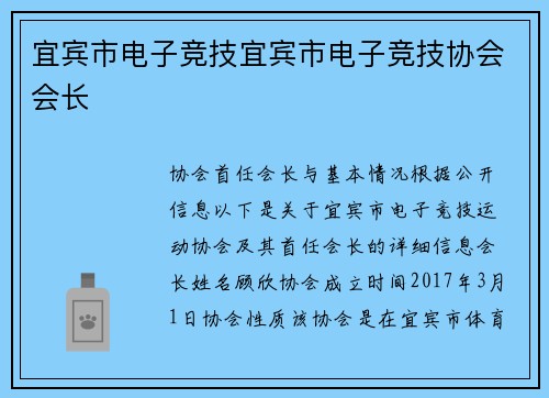 宜宾市电子竞技宜宾市电子竞技协会会长